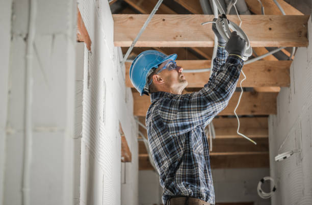 Best Generator Installation Services  in Bass Lake, IN