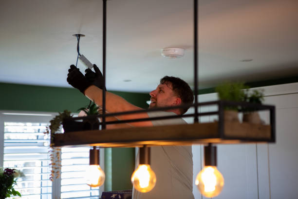 Best Electric Panel Repair  in Bass Lake, IN